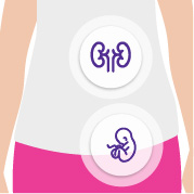 Fertility journey: A road leading towards hope, resilience, and the pursuit of parenthood.